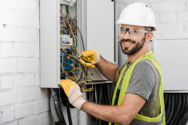Best Electric Panel Repair  in Goodman, MO